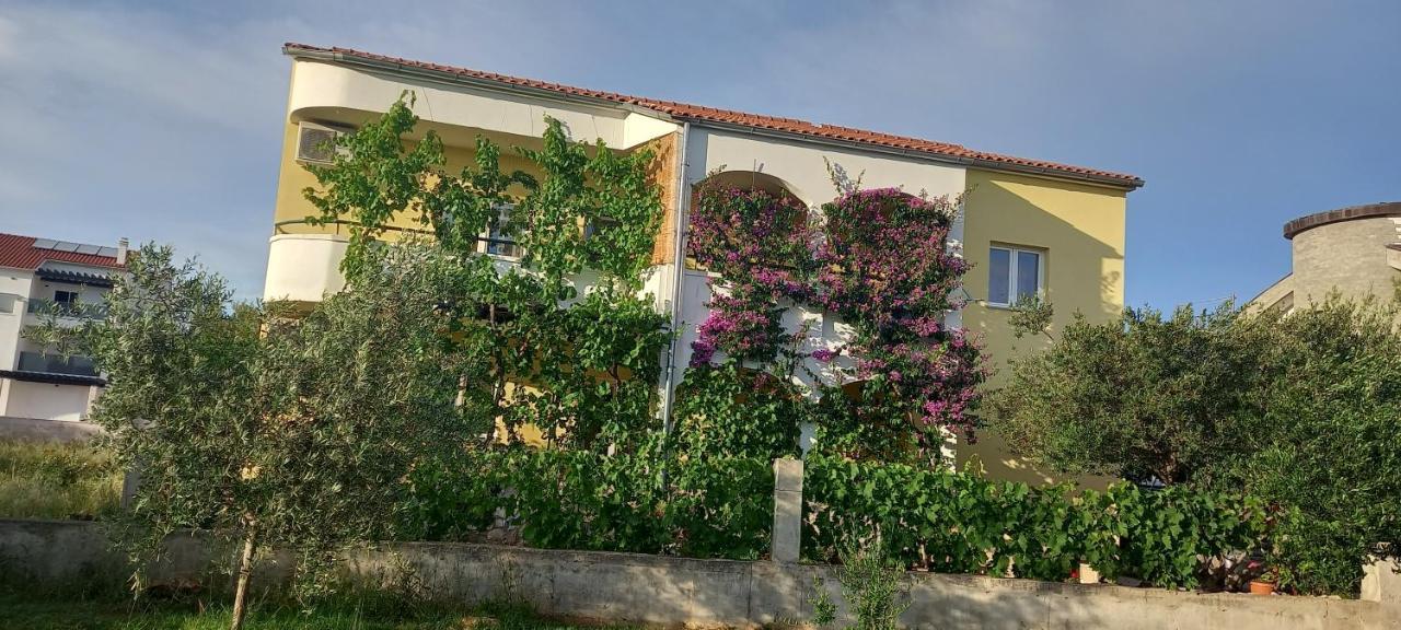Apartmani Vranjkovic Водице Екстериор снимка